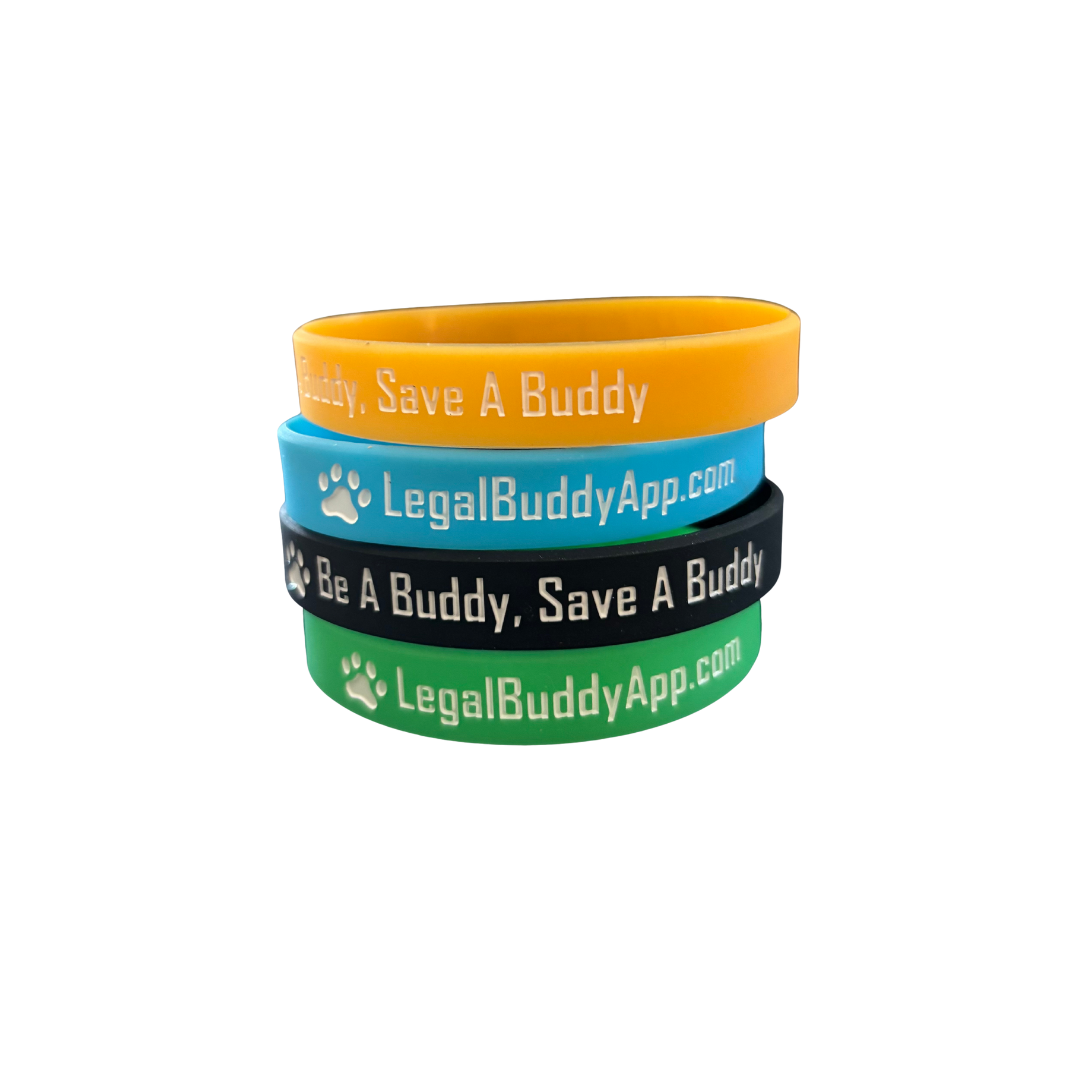 buddy band